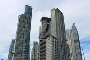 哈尔滨房屋出租网，探索冰城租房市场的新天地