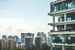 徐水租房市场分析及租房攻略