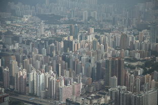 瑞安租房网，探索瑞安房产市场，找到您的理想家园