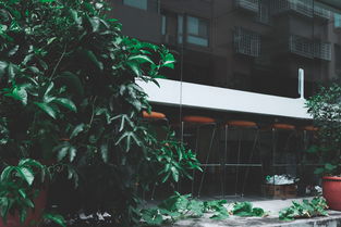 襄樊租房网，打造便捷租房体验，让居住更安心