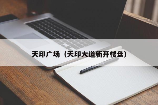 天印广场（天印大道新开楼盘）
