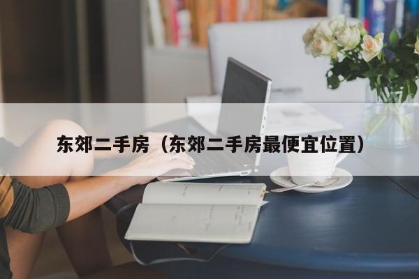 东郊二手房（东郊二手房最便宜位置）