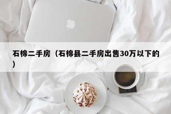 石棉二手房（石棉县二手房出售30万以下的）