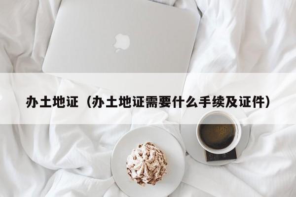 办土地证（办土地证需要什么手续及证件）