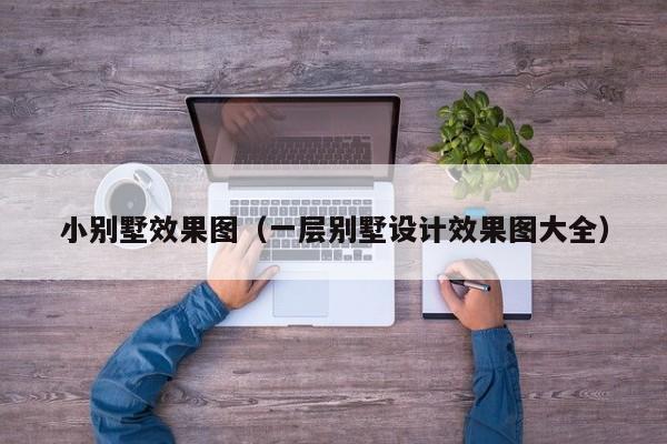 小别墅效果图（一层别墅设计效果图大全）