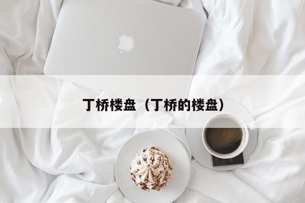 丁桥楼盘（丁桥的楼盘）