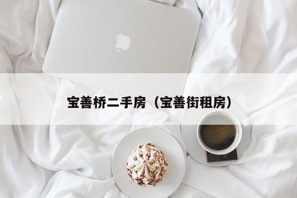 宝善桥二手房（宝善街租房）