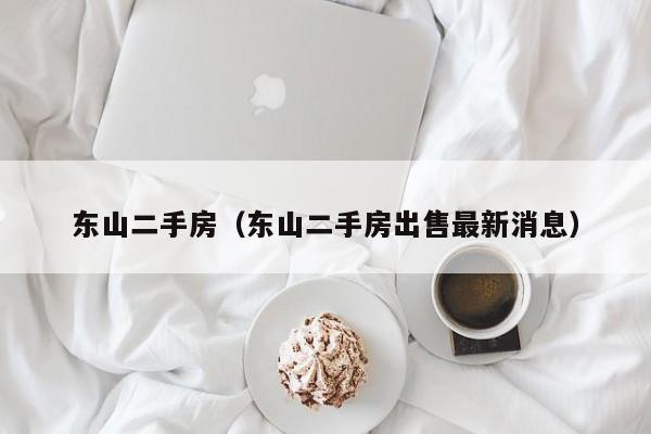 东山二手房（东山二手房出售最新消息）