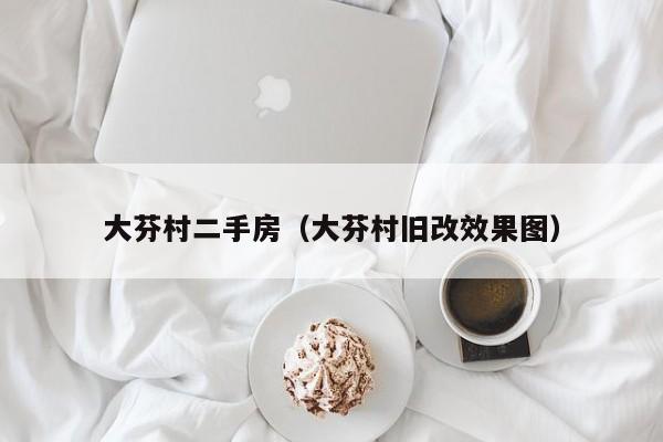 大芬村二手房（大芬村旧改效果图）